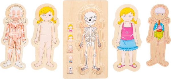 Schichtenpuzzle Anatomie Mädchen